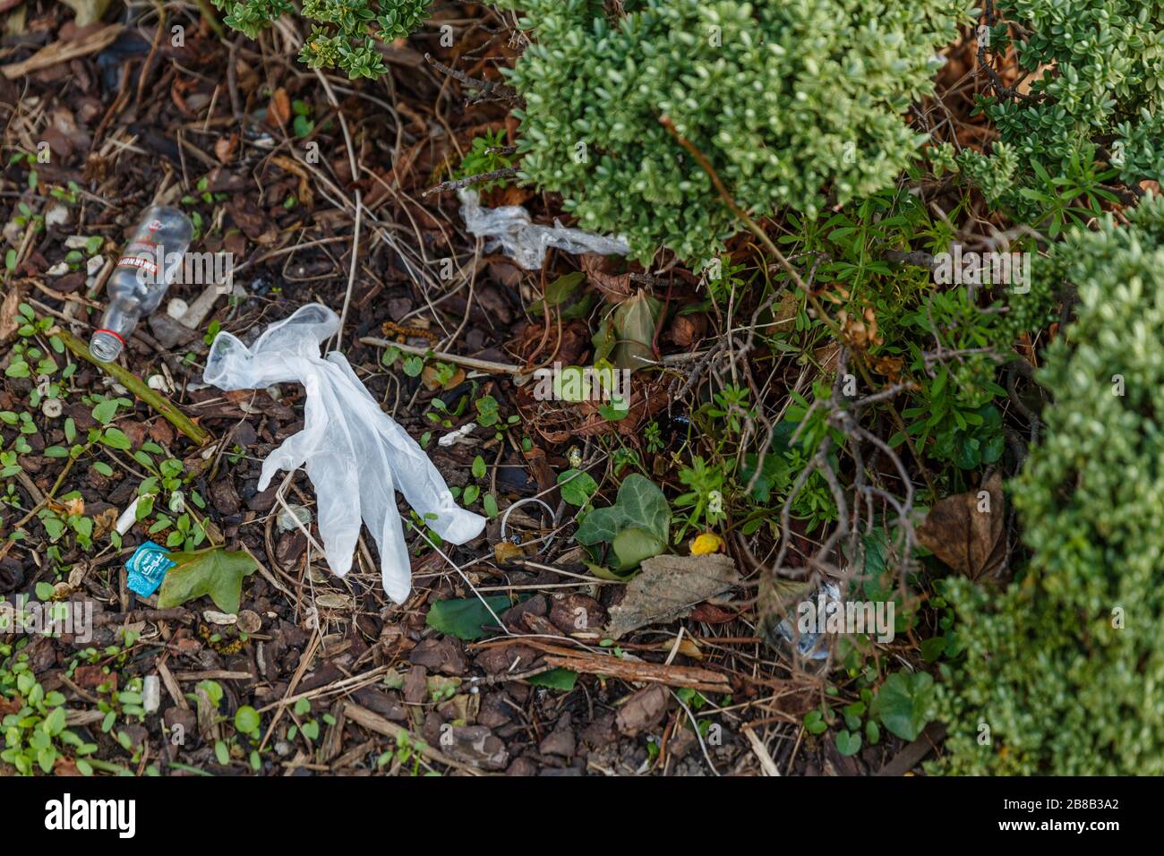 Middlesex, Großbritannien. März 2020. Ein ausrangierter Gummihandschuh und eine leere Miniatur-Wodka-Flasche sitzen unter anderem in einem lokalen Park herum. Menschen tragen Gummihandschuhe, um sich vor dem Coronavirus COVID-19 zu schützen. Mit der Ausbreitung der Pandemie sind Händededesinfektionsmittel sowie andere wichtige Dinge wie toilettenpapier und nicht verderbliche Lebensmittel seit Wochen in Supermärkten ausverkauft. Die Menschen haben nach Alternativen für die Heimwerker-Handwäsche gesucht und da Isopropylalkohol inzwischen auch ausverkauft ist, schlagen soziale Medien Wodka als Ersatz vor. Gutschrift: amanda Rose/Alamy Live News Stockfoto