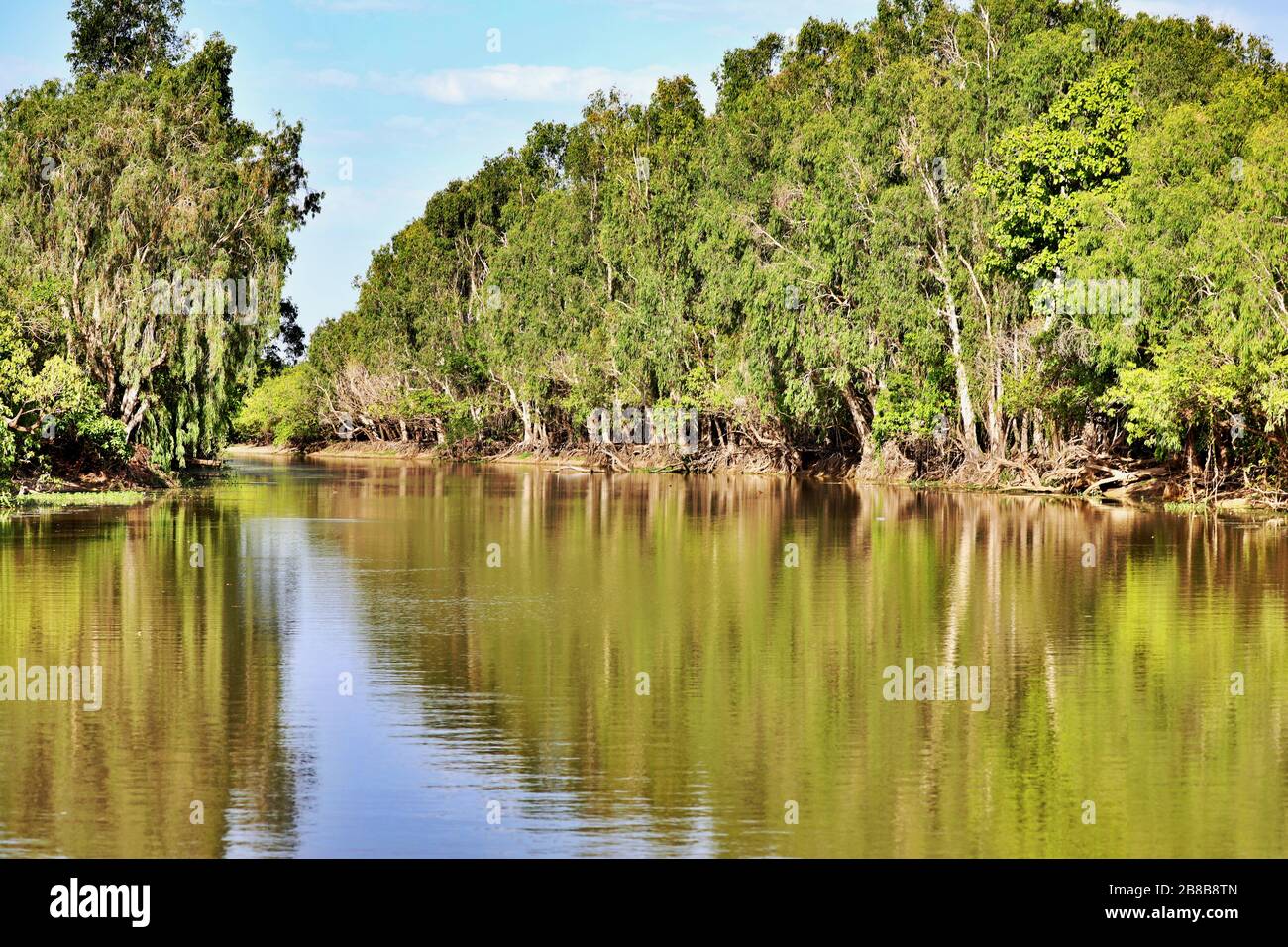 Gelbes Wasser im Kakadu National Park Stockfoto