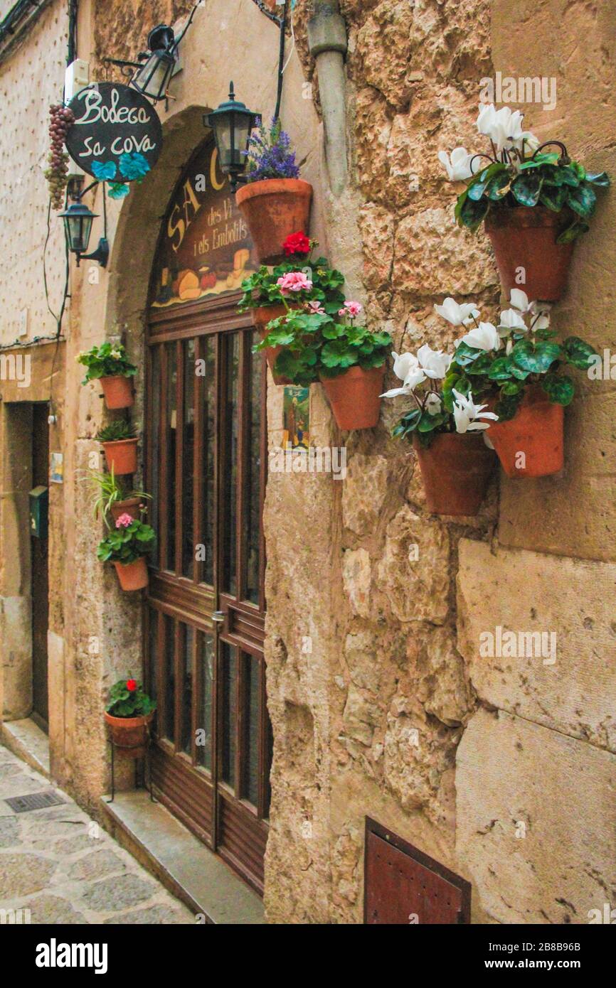 Hauseingang mit Blumentöpfen an der Wand in Valldemossa, Mallorca, Spanien Stockfoto
