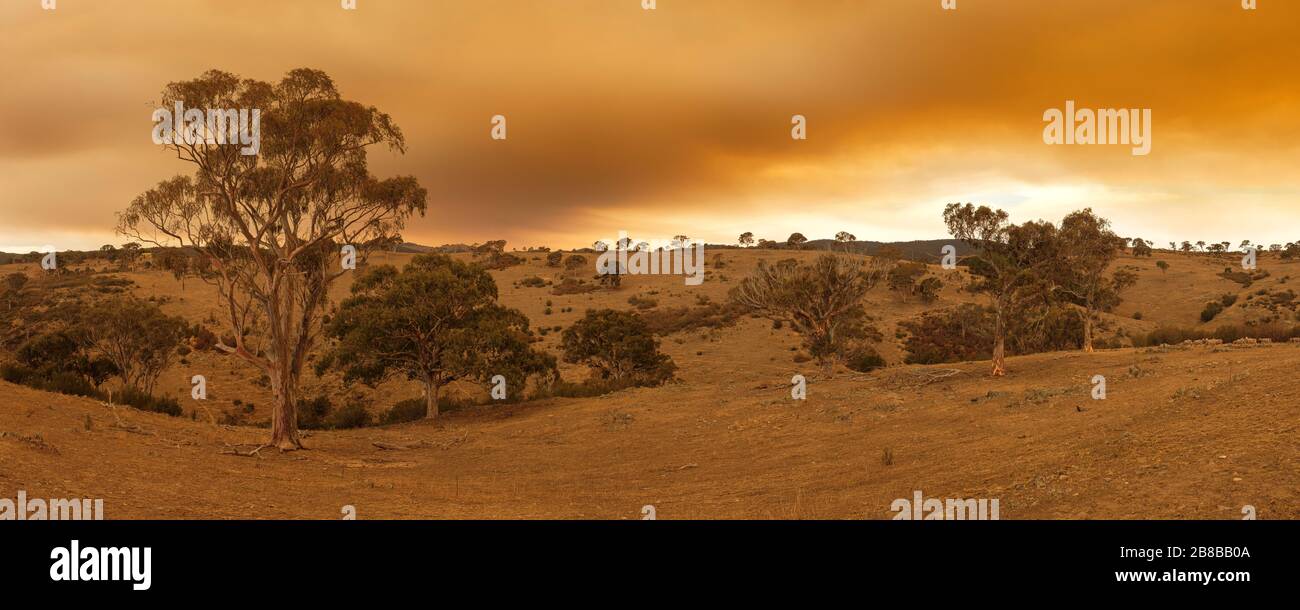 2020 Australische Buschfeuer. Googong, NSW Stockfoto