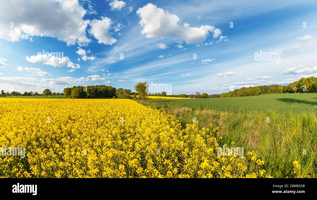 Idyllischer Panoramablick mit Feldern und Wiesen im Frühjahr, lüneburgische Heide, Norddeutschland. Idyllischer Panoramablick mit Felder und Wiesen im Frühjah Stockfoto
