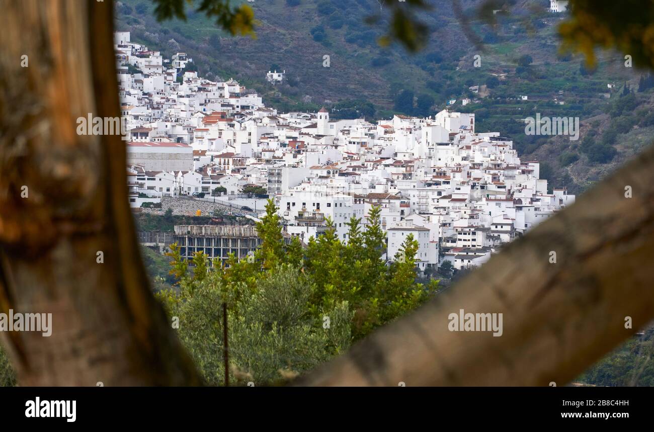 Blick auf die Stadt Tolox in der Sierra de las Nieves von Málaga, Spanien Stockfoto