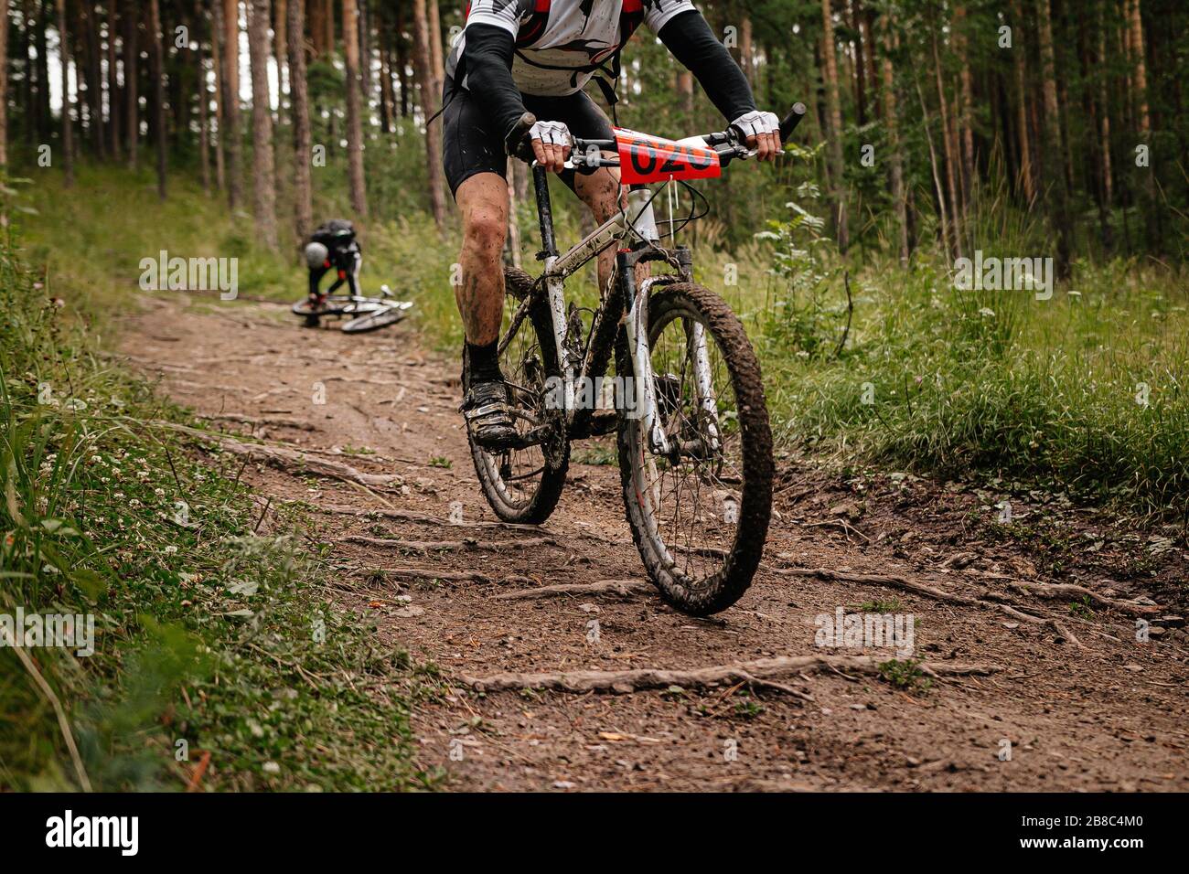 Radfahrer auf dem Waldweg auf dem Mountainbike-Rad im Rad-Wettbewerb Stockfoto