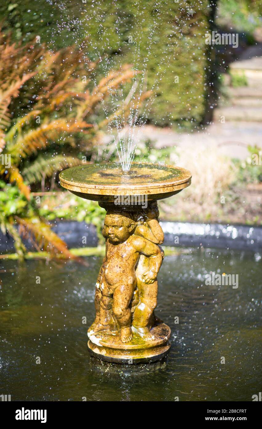Ziergartenbrunnen mit Cherubs Stockfoto