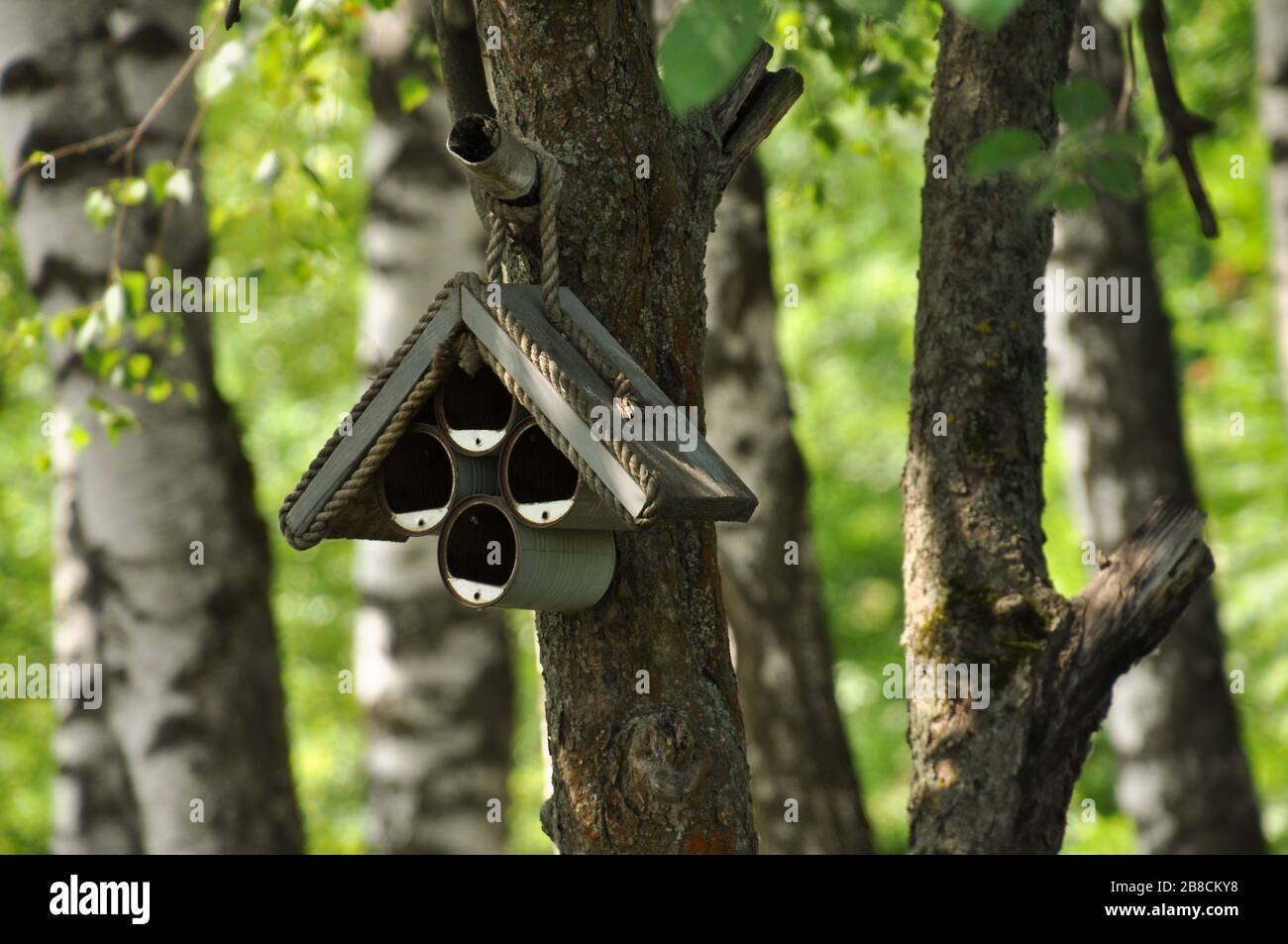 Handgefertigter Vogelfutter im Park Stockfoto