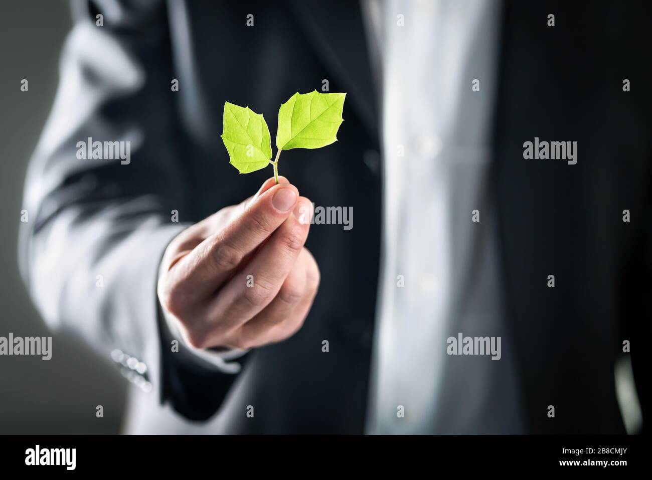 Umweltfreundlicher Anwalt oder Wirtschaftsmann. Nachhaltige Entwicklung, Klimawandel, Ökologie und CO2-Fußabdruck Konzept. Stockfoto