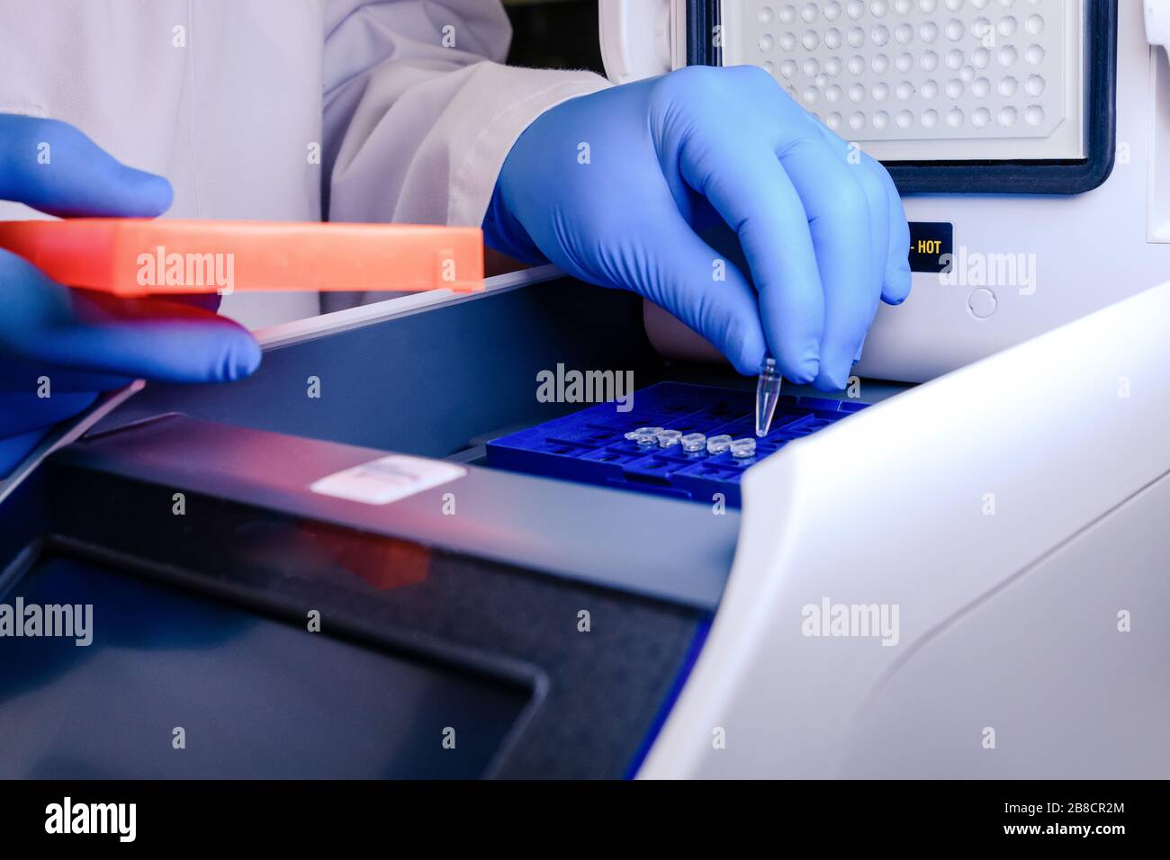 Laden eines DNA-Röhrchens in eine PCR-Thermocyclermaschine (Polymerase-Kettenreaktion) in einem Biowissenschaftlaboratorium. Konzept von Wissenschaft, Labor und Studium Stockfoto