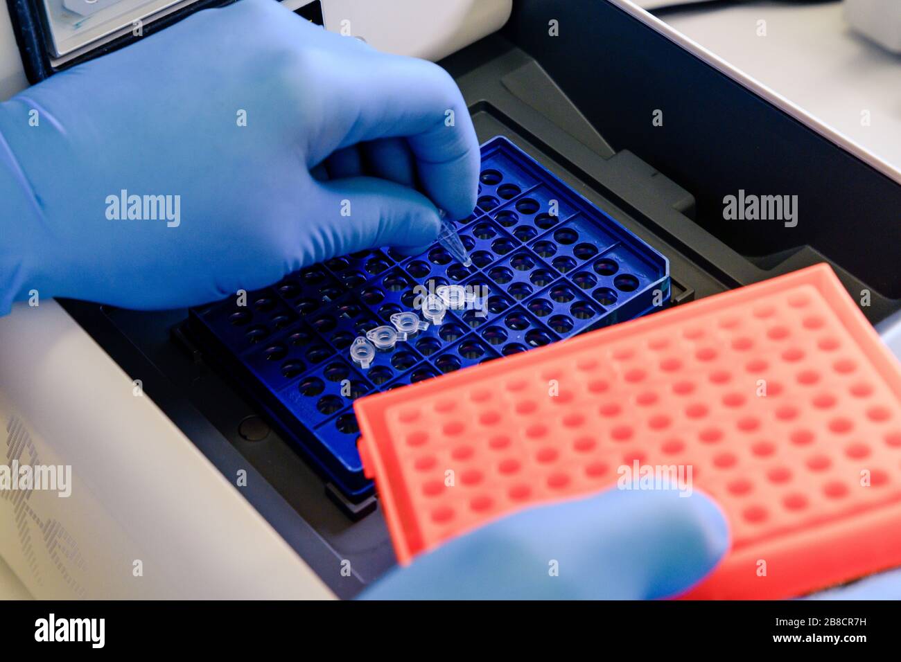 Laden eines DNA-Röhrchens in eine PCR-Thermocyclermaschine (Polymerase-Kettenreaktion) in einem Biowissenschaftlaboratorium. Konzept von Wissenschaft, Labor und Studium Stockfoto