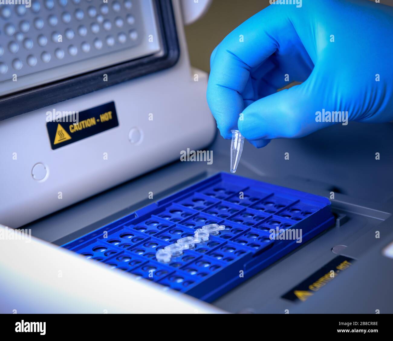 Laden eines DNA-Röhrchens in eine PCR-Thermocyclermaschine (Polymerase-Kettenreaktion) in einem Biowissenschaftlaboratorium. Konzept von Wissenschaft, Labor und Studium Stockfoto