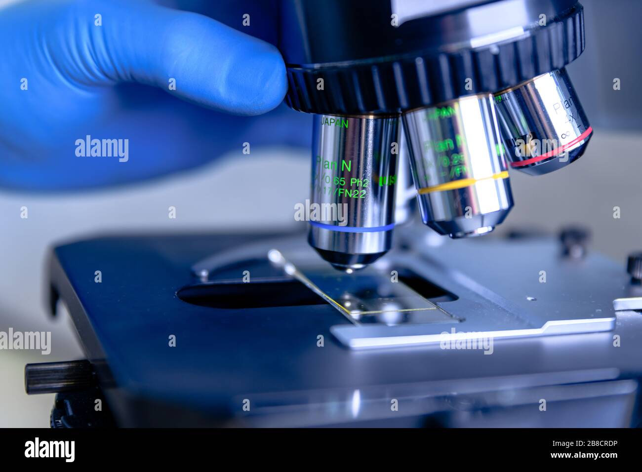 Wissenschaftlicher Umgang mit einem Lichtmikroskop untersucht eine Laborprobe für die pharmazeutische Biowissenschaftsforschung. Konzept von Wissenschaft, Labor und Studie o Stockfoto