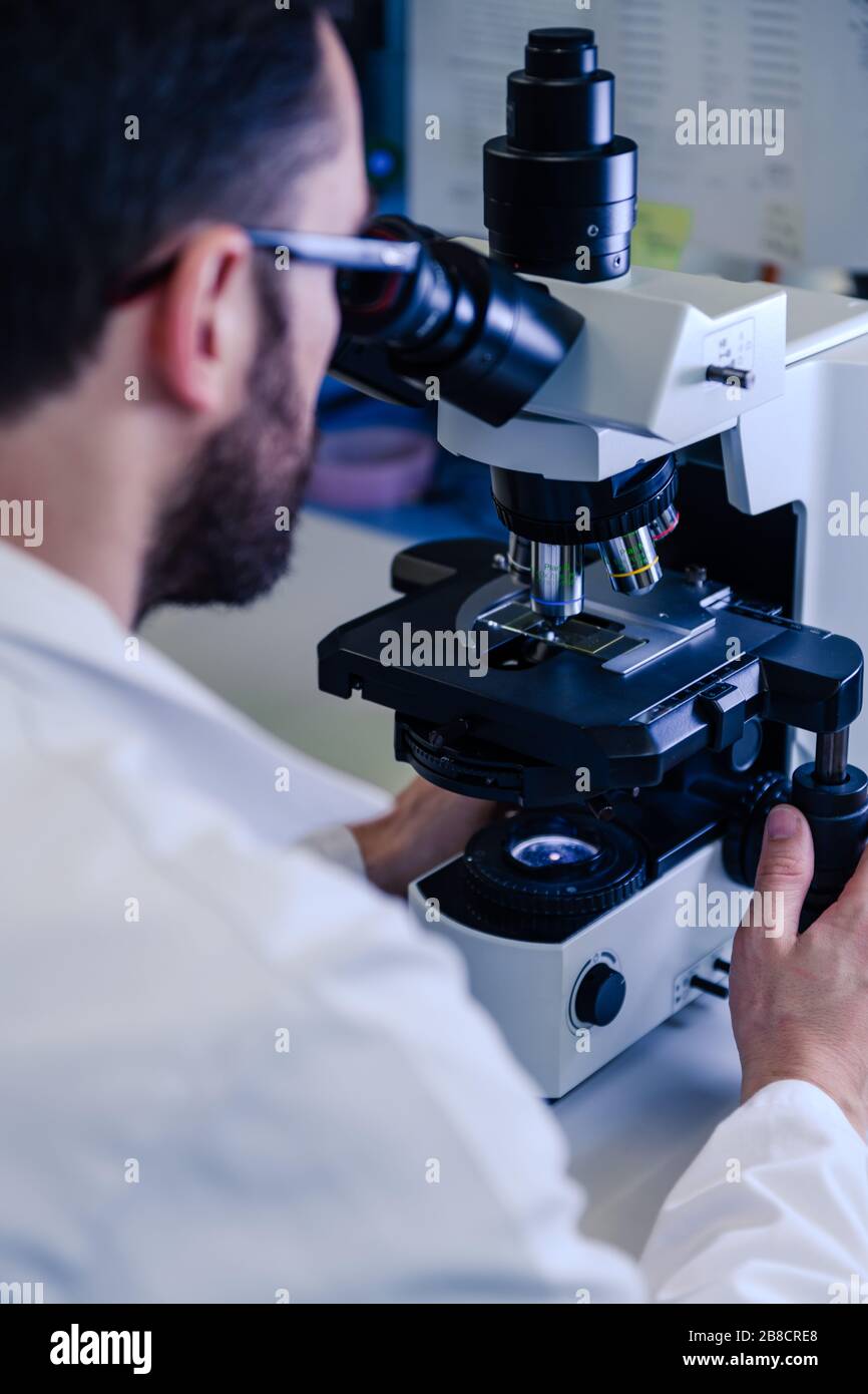 Wissenschaftlicher Umgang mit einem Lichtmikroskop untersucht eine Laborprobe für die pharmazeutische Biowissenschaftsforschung. Konzept von Wissenschaft, Labor und Studie o Stockfoto