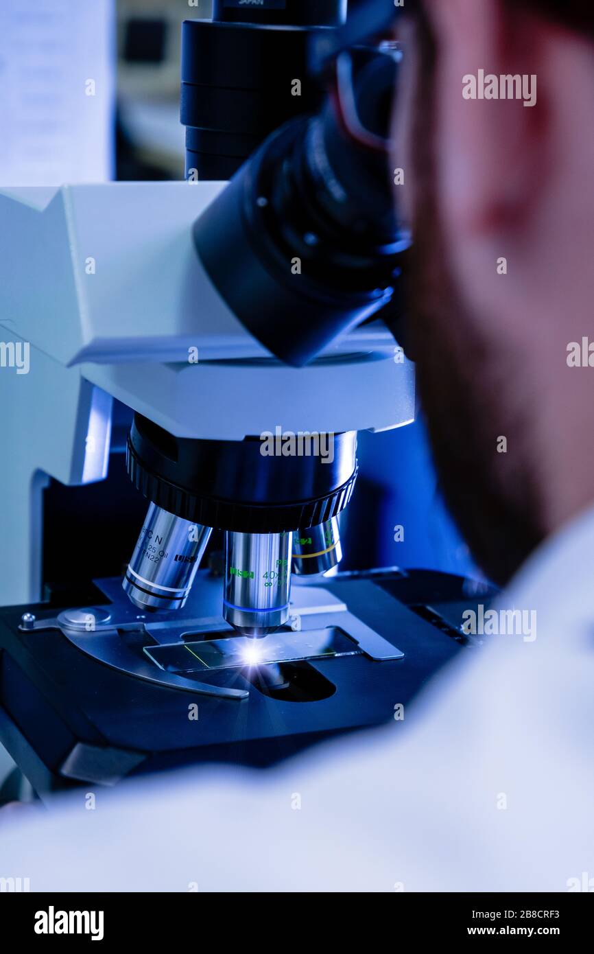 Wissenschaftlicher Umgang mit einem Lichtmikroskop untersucht eine Laborprobe für die pharmazeutische Biowissenschaftsforschung. Konzept von Wissenschaft, Labor und Studie o Stockfoto