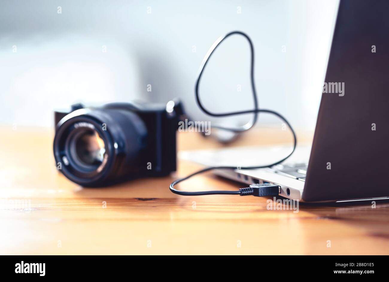 Kamera mit usb-Kabel an Laptop angeschlossen. Dateiübertragung von DSLR auf den Computer. Sichern Sie die Speicherung für Fotos. Stockfoto