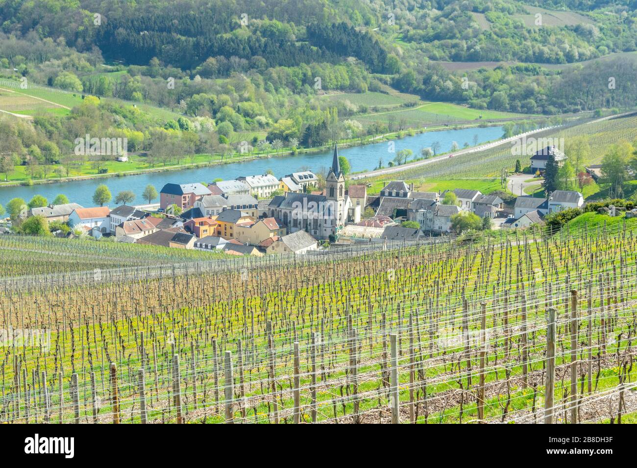 Ahn oder Ehnen Dorf eingebettet zwischen Weinbergen in der Moseltal Weinregion Luxemburg, mit Feldern rund um Stockfoto