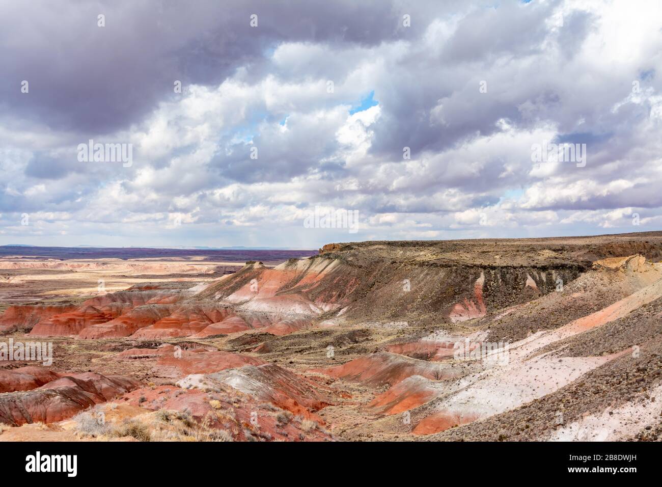 Bemalte Wüste und versteinerte Holz im Petrified Forest National Park in Arizona Stockfoto