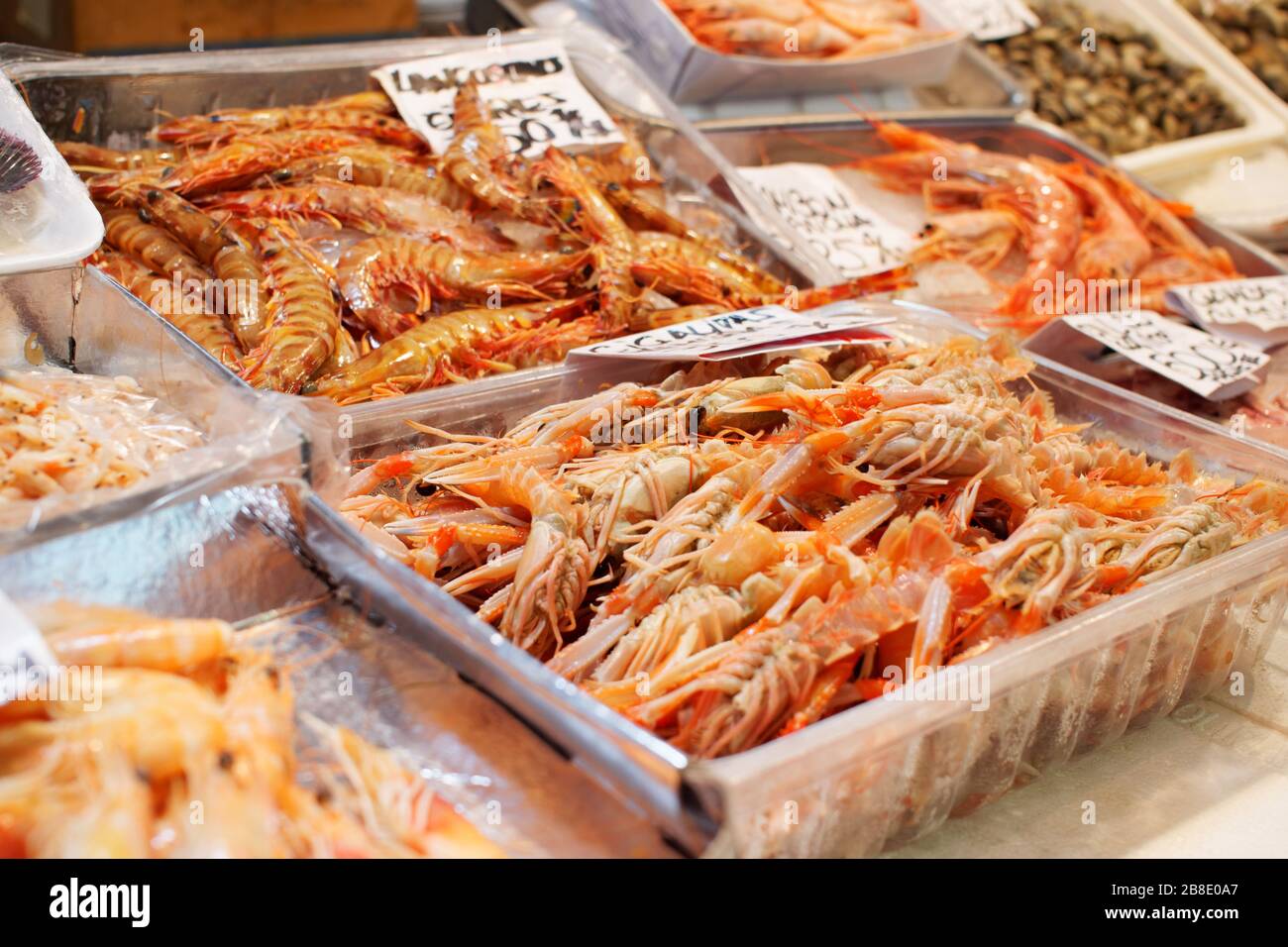 Garnelenhaufen und Langoustinen auf Fischmarkt-Display Stockfoto