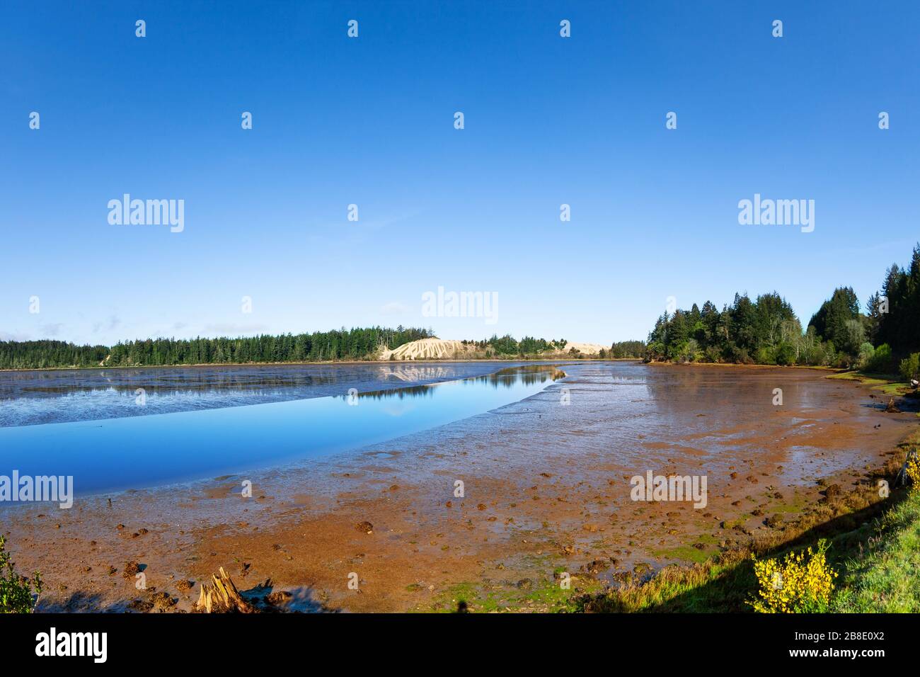 Blick auf den Hafen von 101 in der Nähe von Gold Beach, Oregon, USA Stockfoto