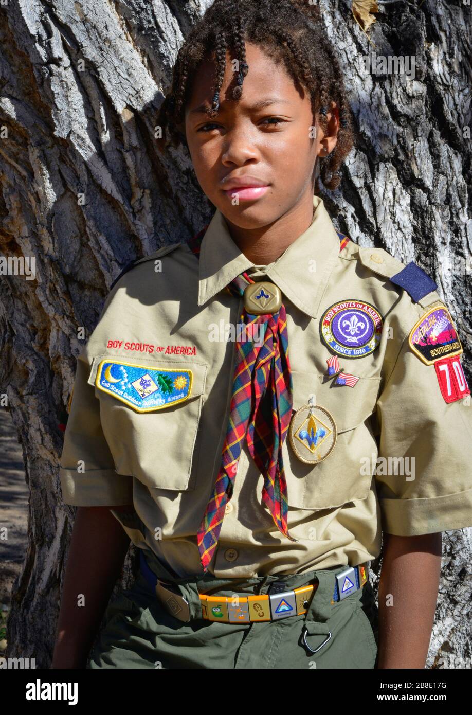 Süßer junger afroamerikanischer Junge posiert gegen Baum, der seine Jungen Scouts of America Uniform in Tucson, AZ, USA trägt Stockfoto