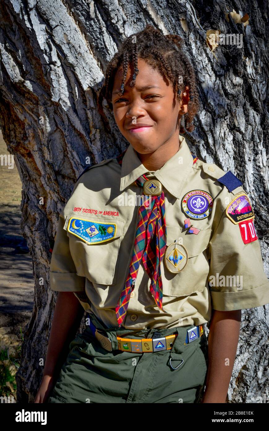 Süßer afroamerikanischer Junge mit Zöpfen posiert stolz gegen Baum, der seine Boys Scouts of America Uniform in Tucson, AZ, USA trägt Stockfoto