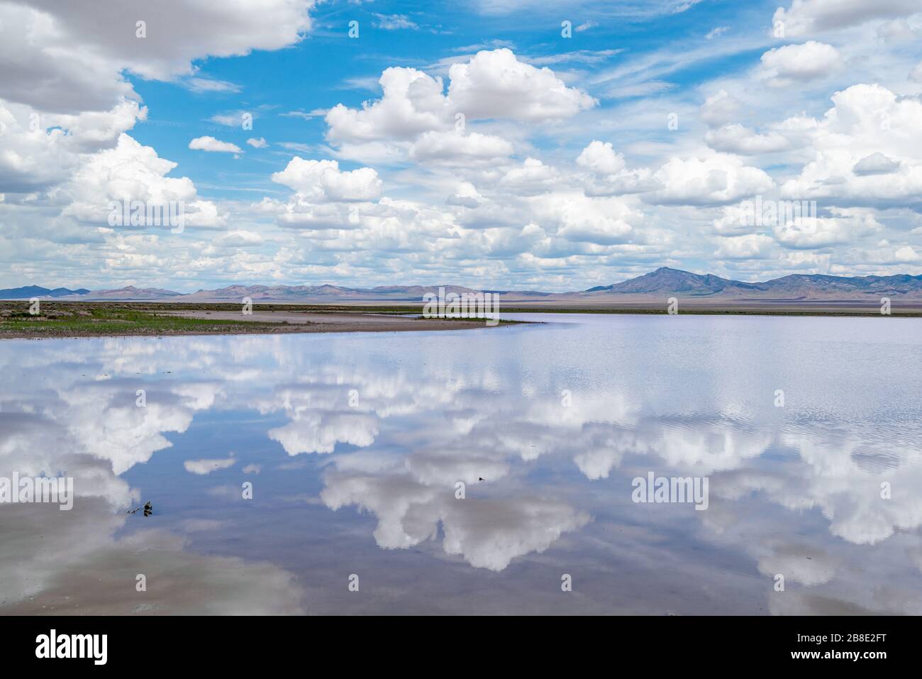USA, Nevada, Lincoln County, Basin und Range National Monument. Ein sommerlicher Monsunregen füllt das endorheische Becken im Coal Valley mit epehmeralem Wasser. Stockfoto