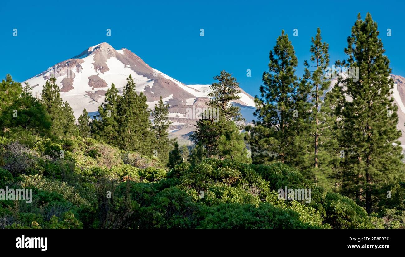USA, Kalifornien, Siskiyou County. Die Nordwand des Mt. Shasta. Stockfoto