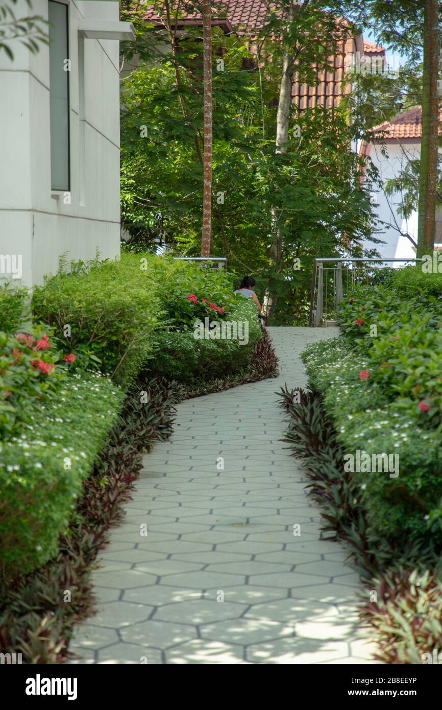 Gartenpfad mit Pflanzung auf beiden Seiten. Stockfoto