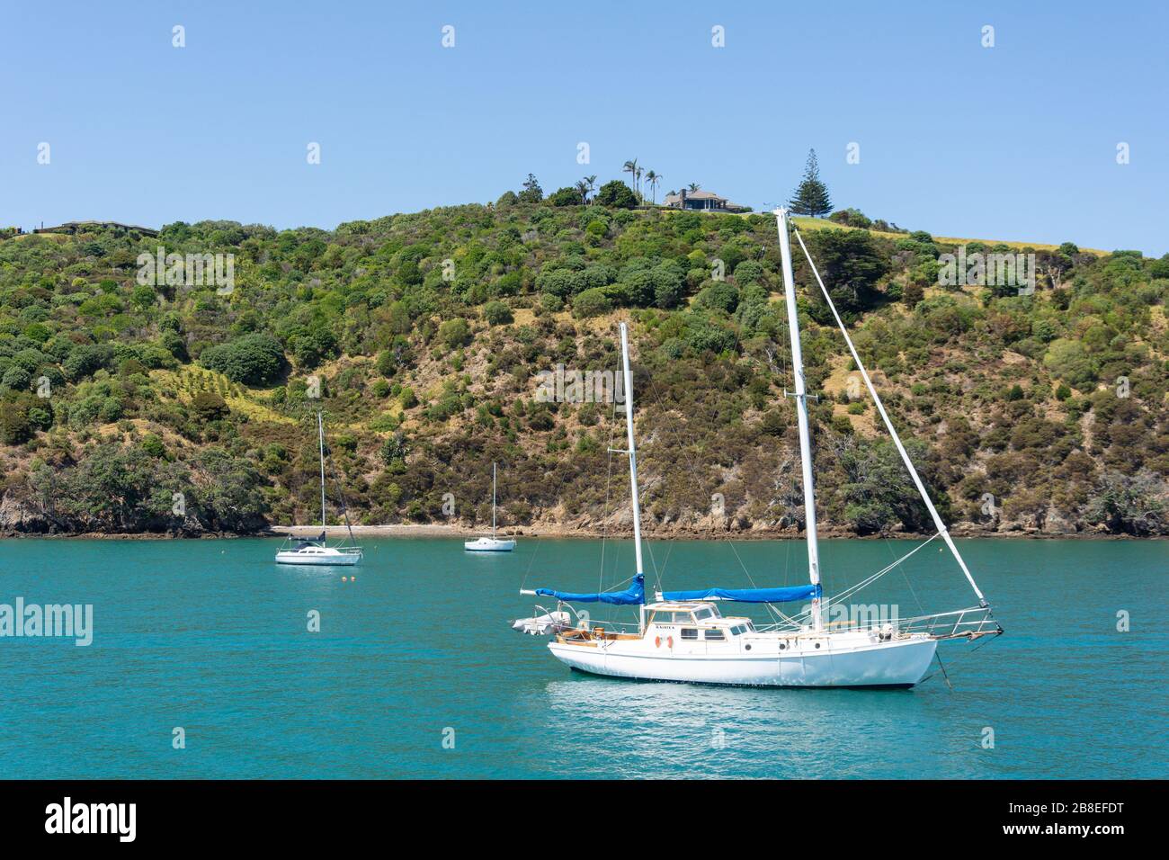 Matiata Bay, Waiheke Island, Hauraki Gulf, Auckland, Neuseeland Stockfoto