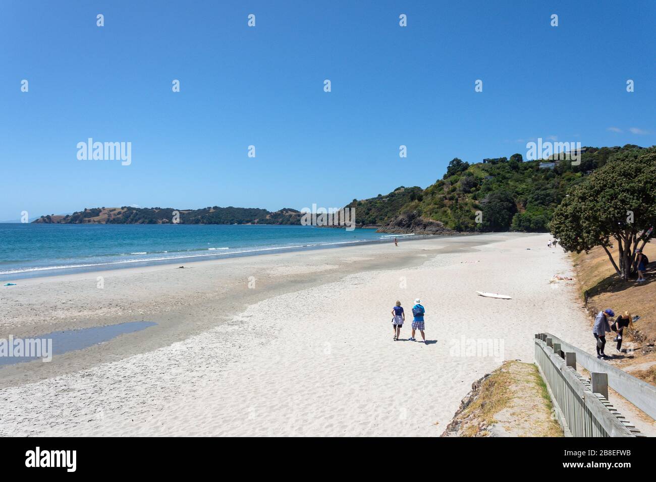 Onetangi Beach, Onetangi Bay, Waiheke Island, Hauraki Gulf, Auckland, Neuseeland Stockfoto