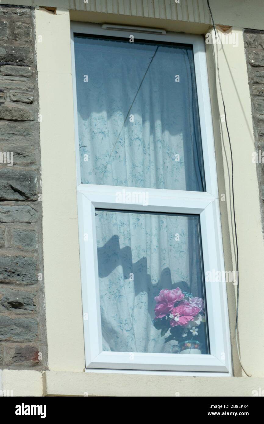 Eine Nahaufnahme durch ein Fenster eines Topfes frischer Blumen von außen Stockfoto