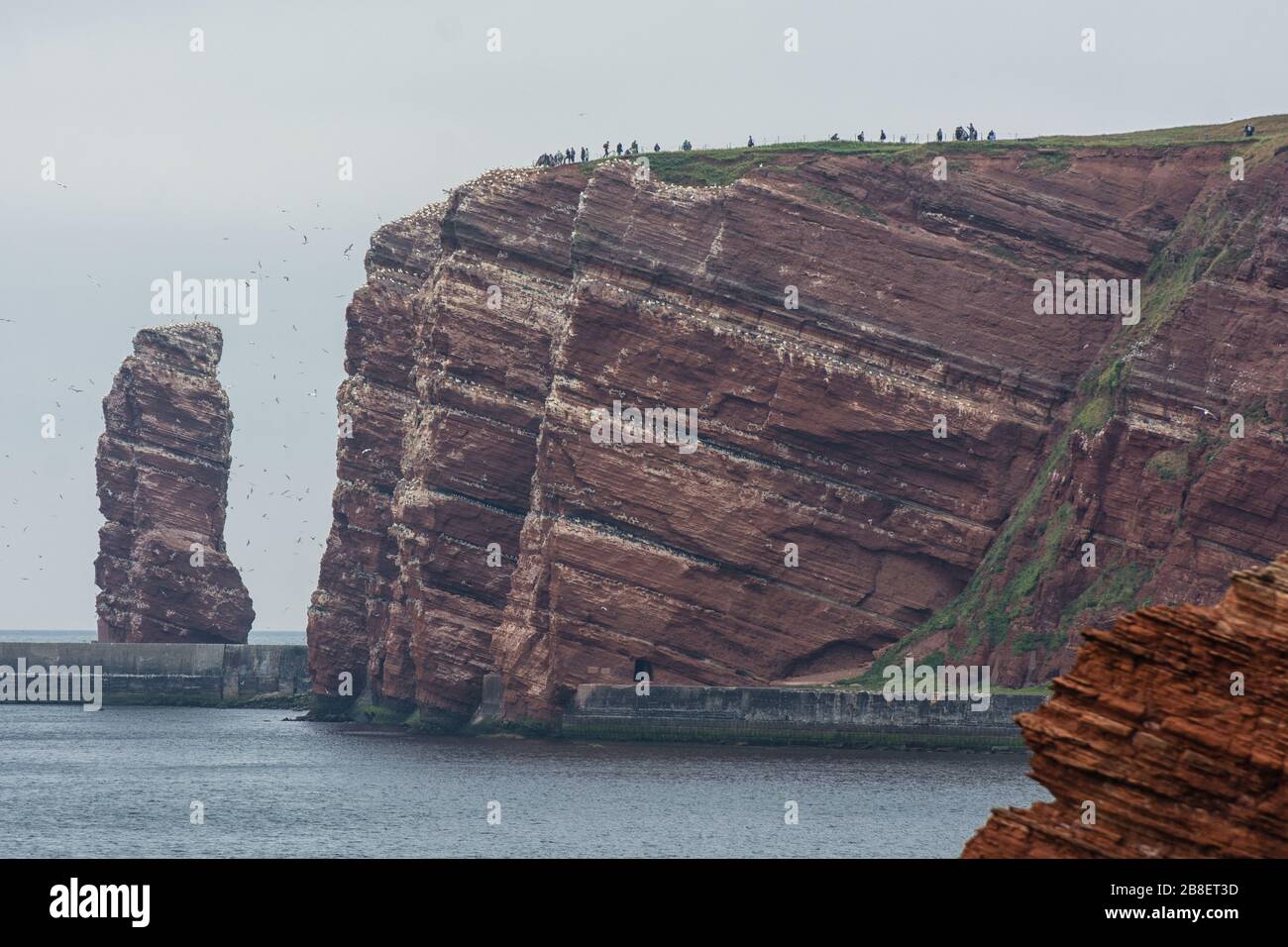 Die lange Anna auf der vorgelagerten Insel Helgoland in der deutschen Nordsee Stockfoto