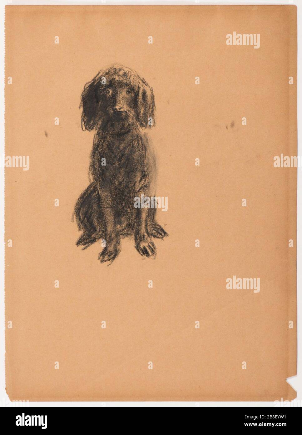 Hund von William J. Glackens, c. 1930, Holzkohle auf Papier. Stockfoto