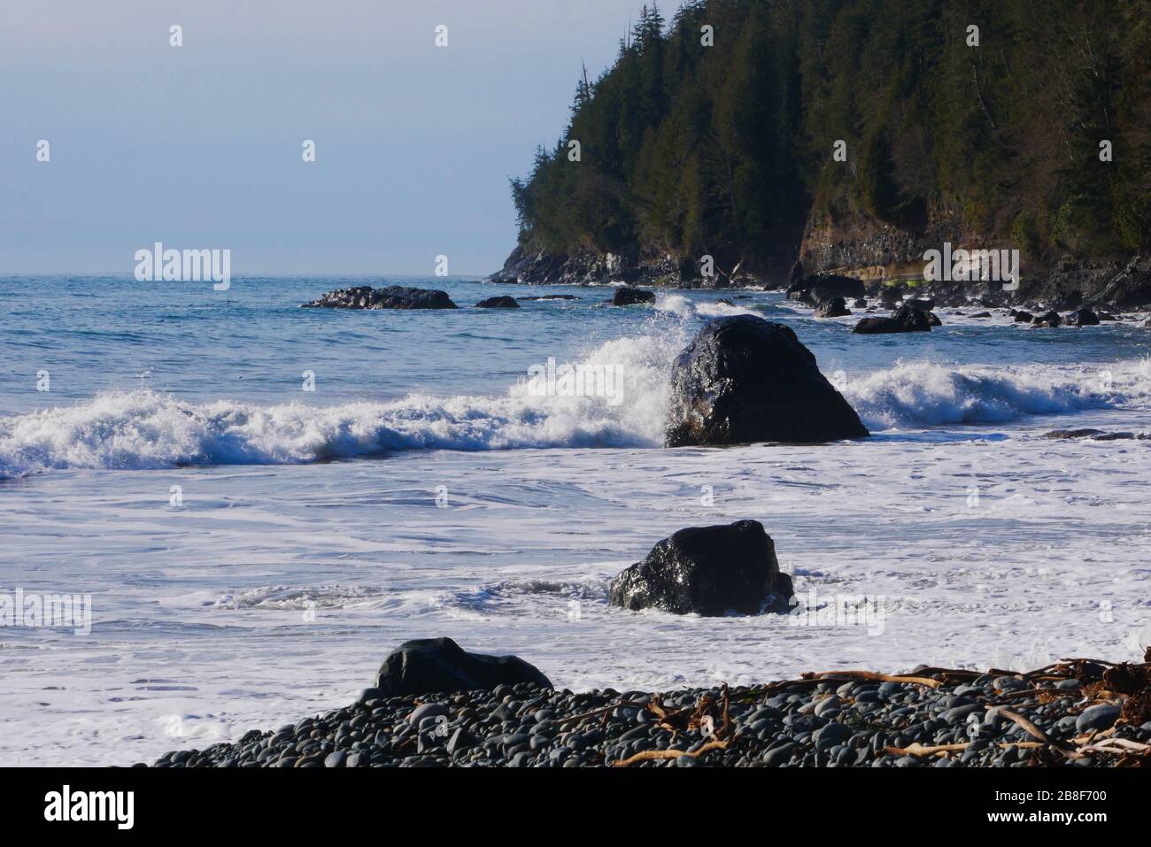 Wellen, die entlang der kanadischen Küste gegen Felsen krachen, Bäume im Hintergrund und felsiger Strand im Vordergrund Stockfoto