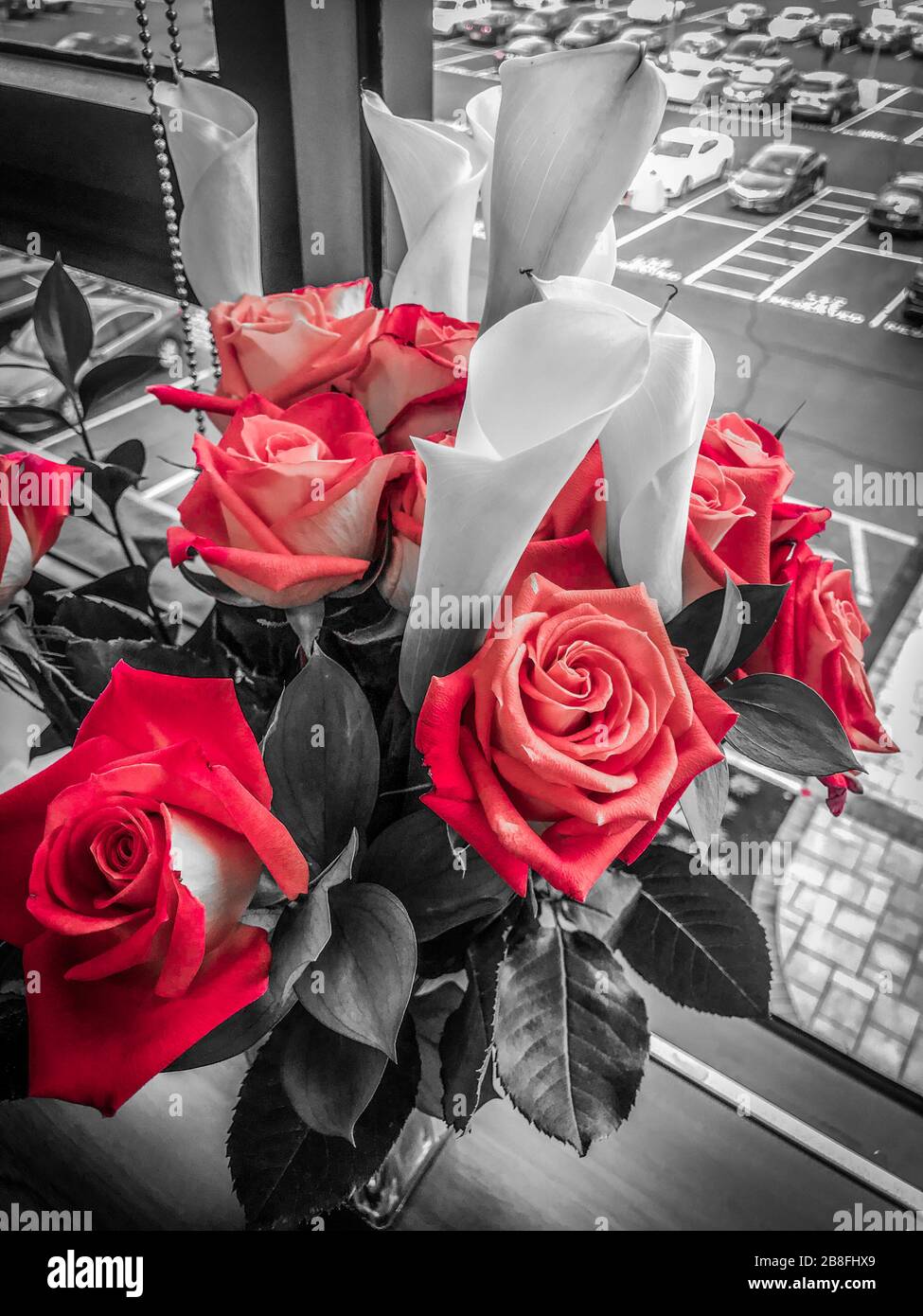 Einfarbige rote Rosen einfarbige rote Blumenstrauß mit Lilienblättern auf Fensterbank Schwarz und Weiß Stockfoto Einfarbige rote Rosen einfarbige rote Blumenstrauß mit Lilienblättern auf Fensterbank Schwarz und Weiß Stockfoto