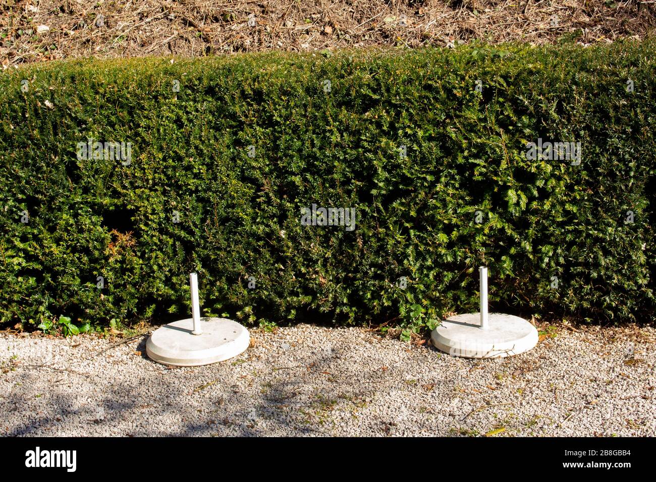 Zwei steht für Sonnenschirme, die vor einer Hecke stehen Stockfoto