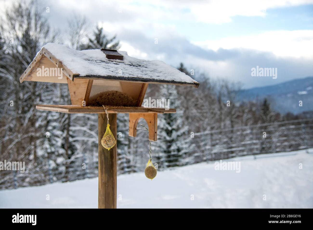 Vogelzubringer im Winterpark - selektiver Fokus, Kopierbereich Stockfoto