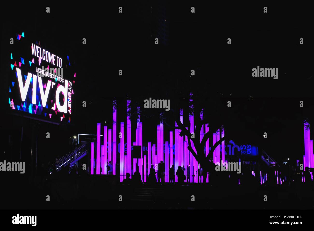 Lila, Magenta, pinke Pole, Samsung Installation bei VIVID Sydney, die beliebte jährliche Veranstaltung von Lichtskulpturen und kreativer Leuchtkunst Stockfoto