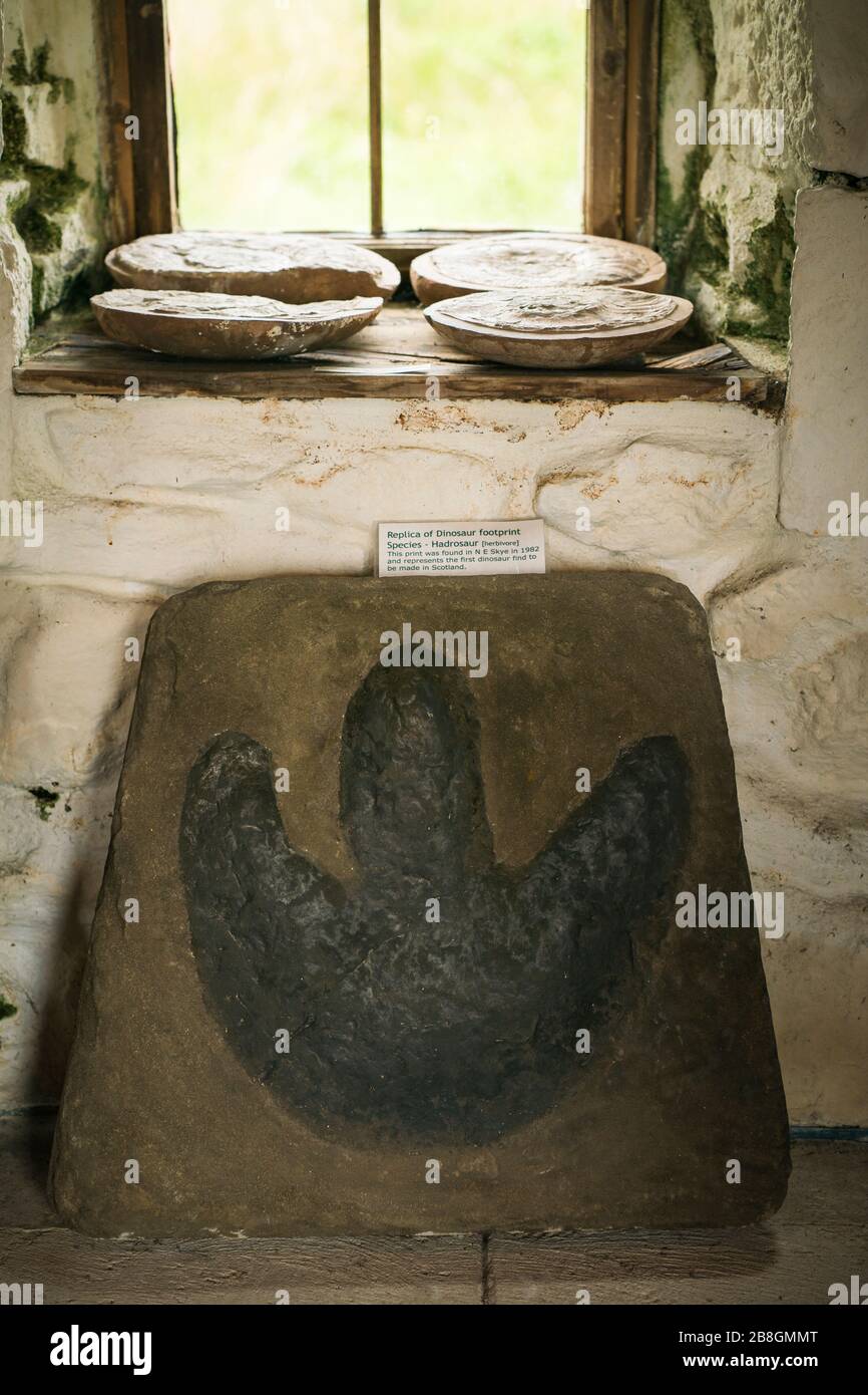 Hadrosaur Dinosaurier Footprint Druckguss 1982 auf der Halbinsel Trotternish, Insel Skye, Schottland, Großbritannien, Europa gefunden Stockfoto