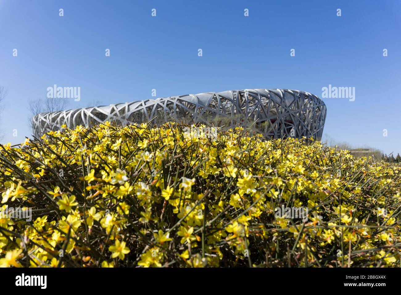 Bird's Nest International Stadium Stockfoto