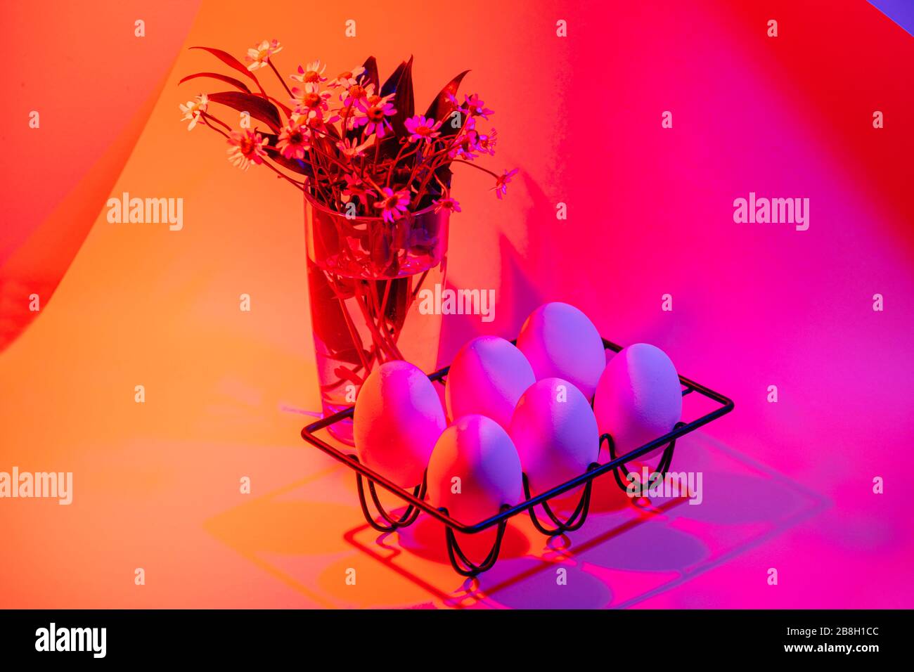 Hühnereier auf einem Eierhalter aus Metall und chamomiles über dämmem Neon beleuchteten Hintergrund Stockfoto