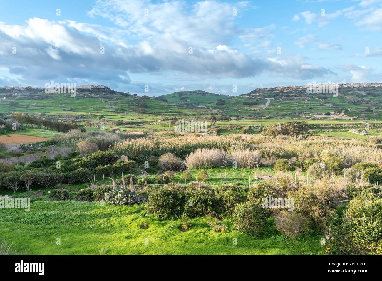 Landschaft in Gozo, Malta Stockfoto