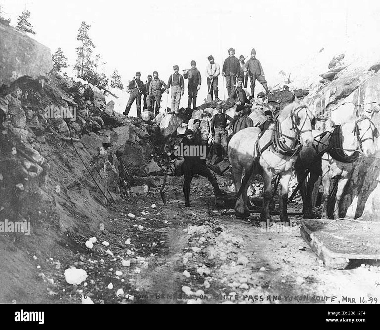 Grading Route für den Bau der White Pass & Yukon Railroad 3 km von Bennett, British Columbia, 16. März 1899 (HEGG 647). Stockfoto