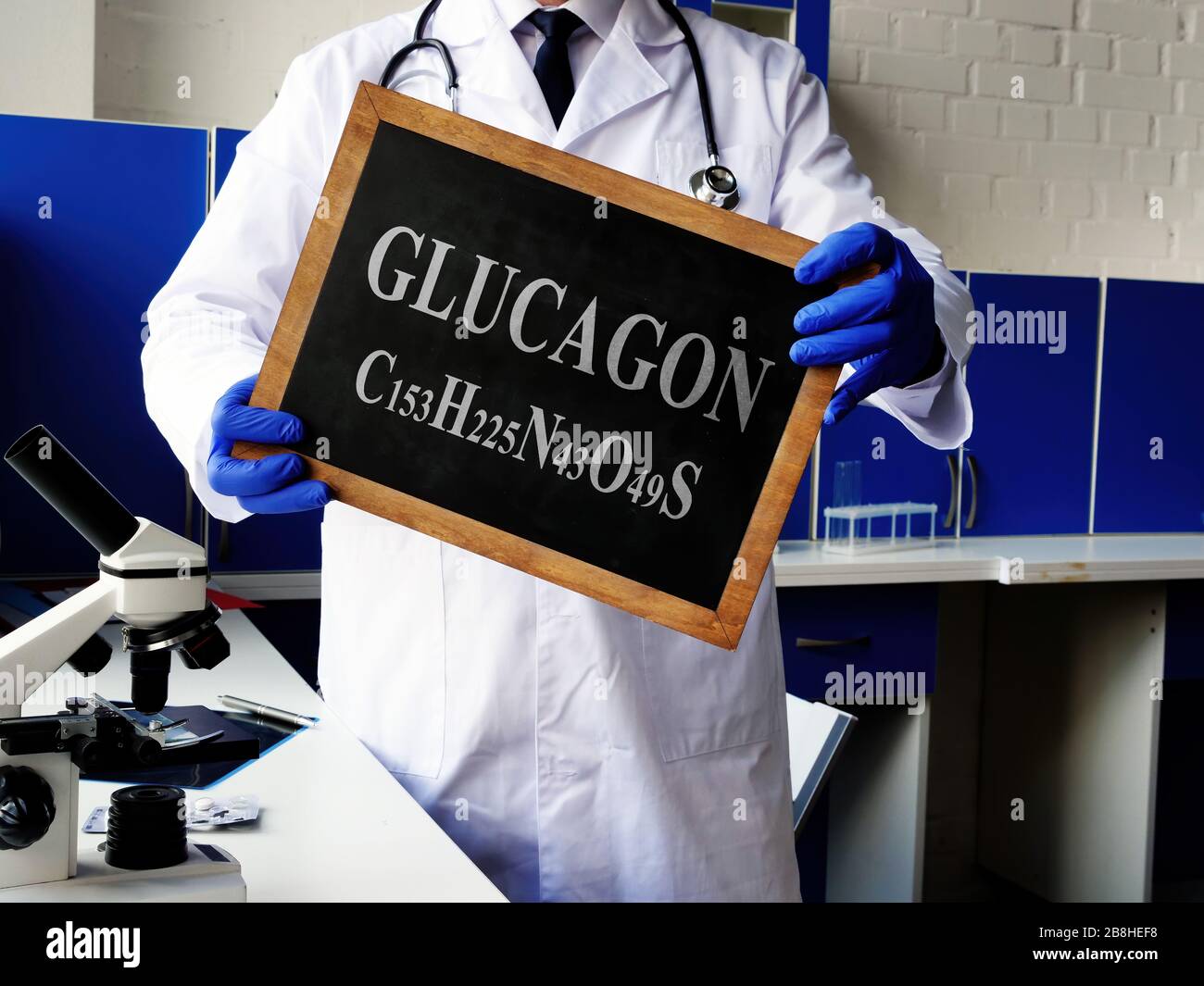 Glucagon-GCG-Hormon mit Formel auf der Tafel. Stockfoto