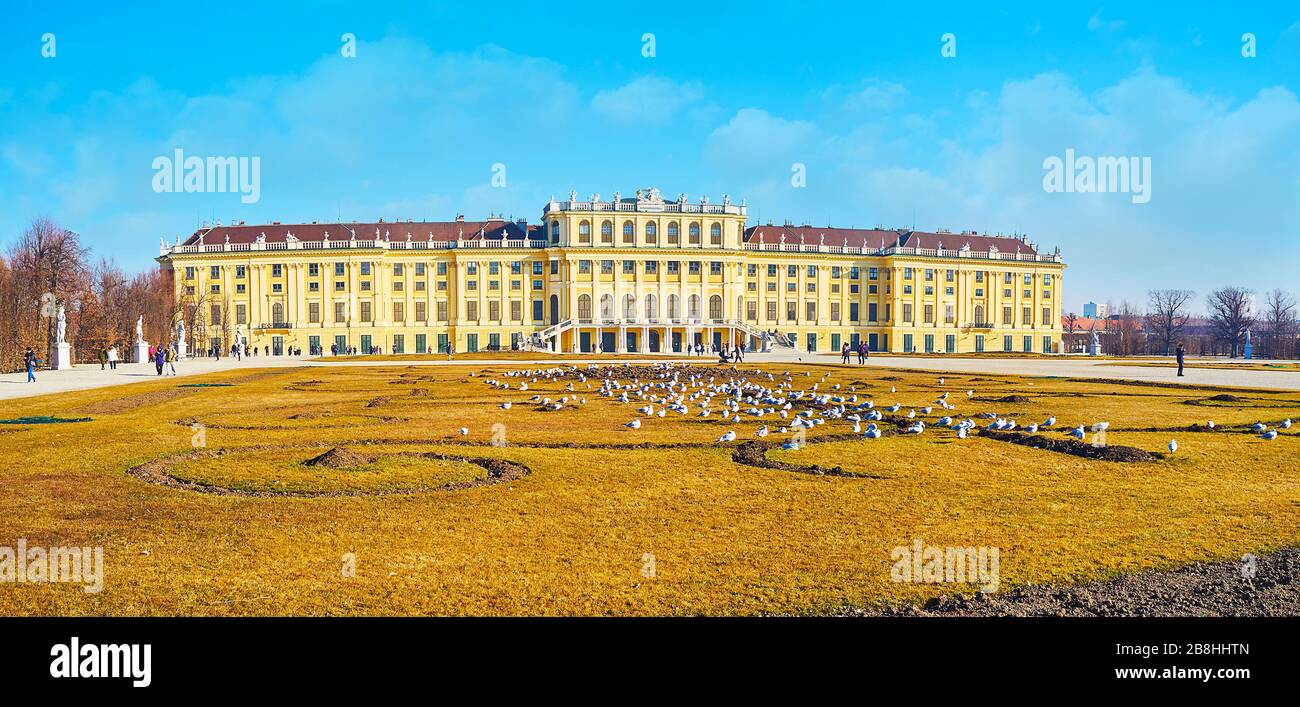 WIEN, ÖSTERREICH - 19. FEBRUAR 2019: Großer Parterre-Ziergarten von Schloss Schönbrunn mit Barockbau, Blumenbeeten und Möwenscharen auf Stockfoto