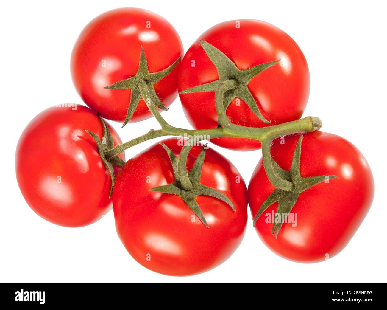 Satz reifer und saftiger roter Tomaten. Er ist auf weißem Hintergrund isoliert Stockfoto