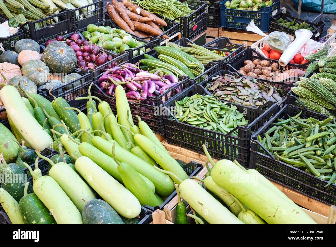 Boxen mit frischem Gemüse zum Verkauf auf einem Markt in Neapel, Italien Stockfoto