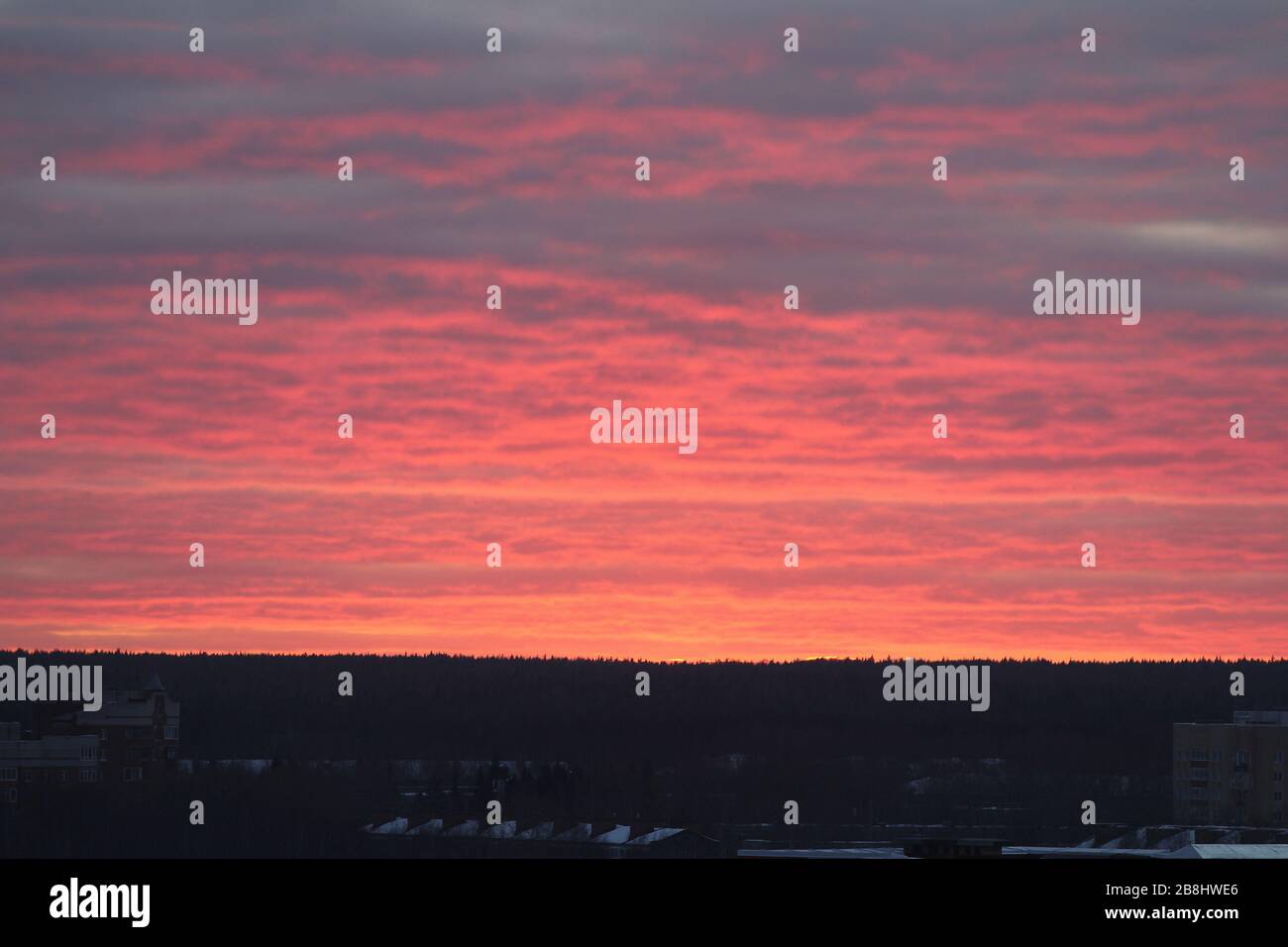 Greller scharlachroter Sonnenuntergang oder Sonnenaufgang über dem Horizont. Rosafarbene Wolken, die von der Sonne über dem Horizont beleuchtet werden. Stockfoto