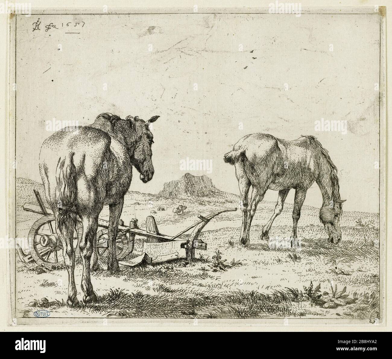 Die beiden Pferde in der Nähe eines Pflugs (Dutuit 25) Karel Dujardin (1622-78). Les Deux chevaux près d'une charrue (Dutuit 25). Eau-forte, 1657. Musée des Beaux-Arts de la Ville de Paris, Petit Palais. Stockfoto