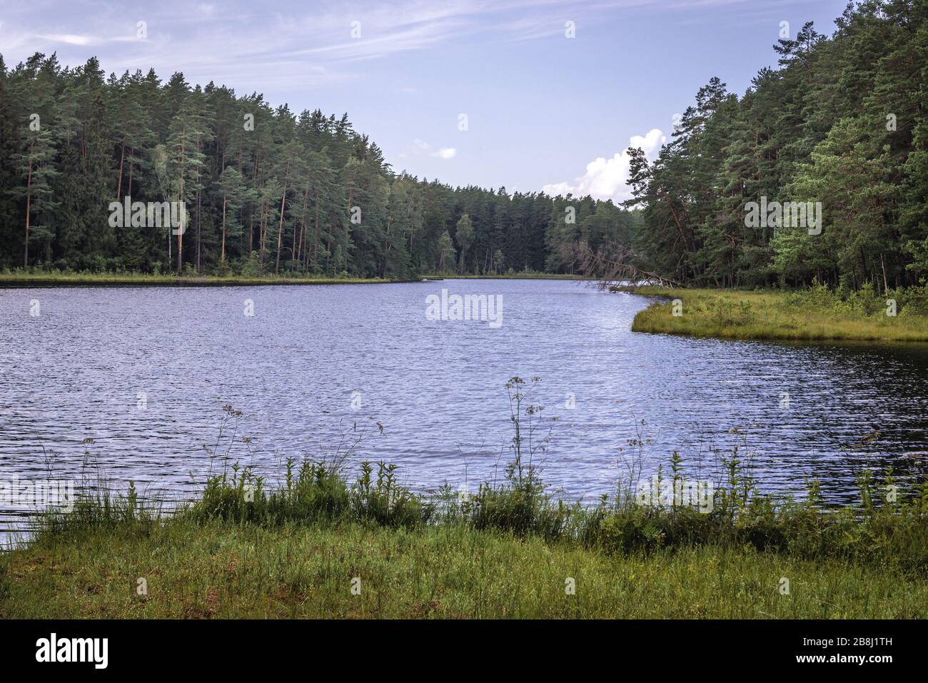 Suchar Wielki Lake auf dem Gebiet des Wigry-Nationalparks in der Nähe des Dorfes Slupie innerhalb des Landkreises Suwalki, der Wojewodschaft Podlaskie im Nordosten Polens Stockfoto