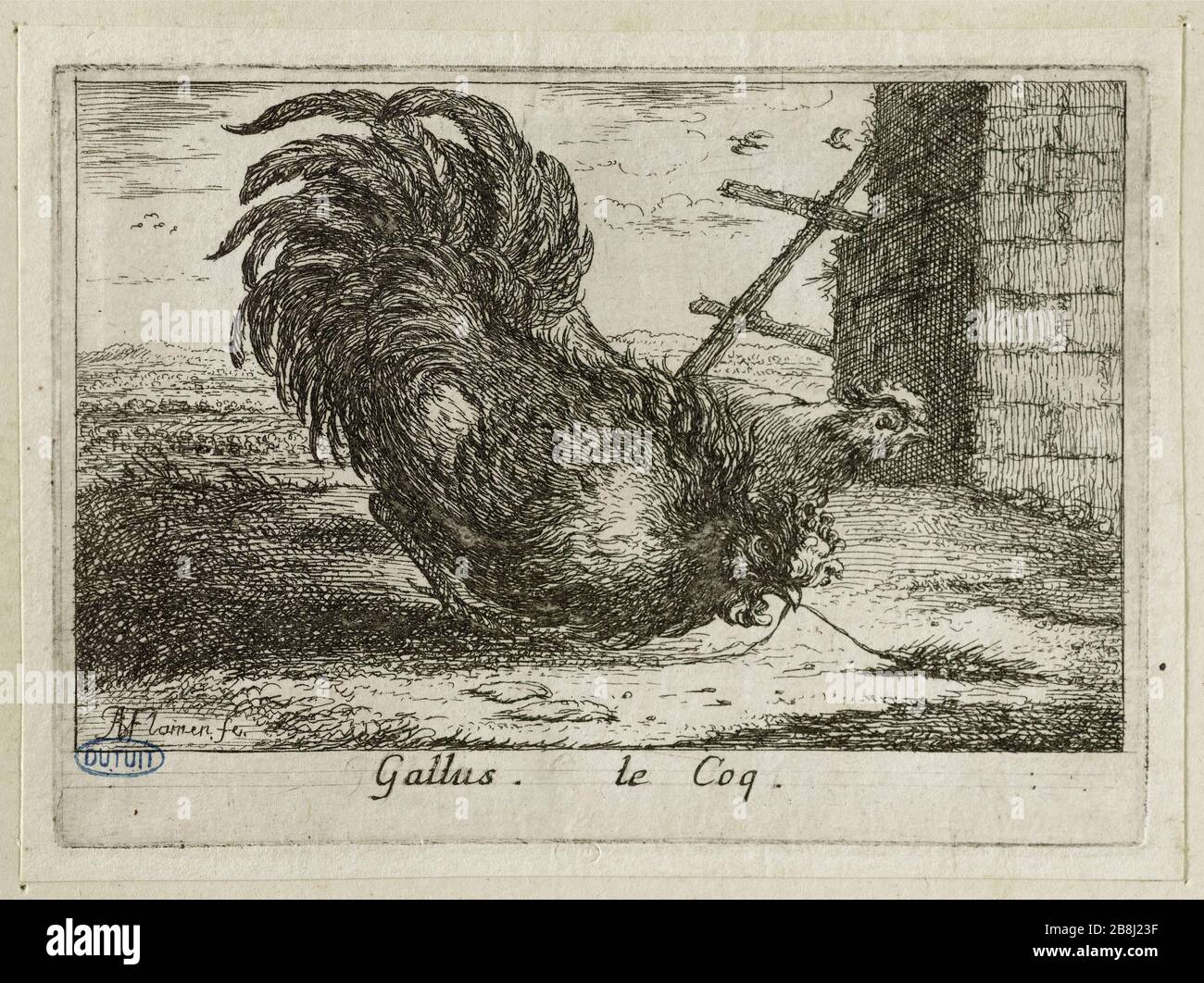 Verschiedene Vögel, Hahn (Robert-Dumesnil 393, Bartsch 79) Albert Flamen (1620-1674). Différents oiseaux. Le coq (Robert-Dumesnil 393, Bartsch 79). Eau-forte, XVIIe siècle. Musée des Beaux-Arts de la Ville de Paris, Petit Palais. Stockfoto