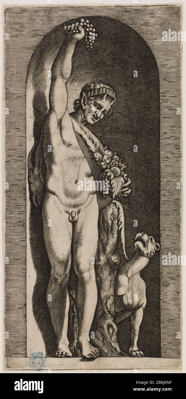 Der Wildlife and Tiger (Bartsch 307) Marc Antoine Raimondi (1480-vers1534). Le Faune et le tigre (Bartsch 307). Eau-forte, Burin. XVIème siècle. Musée des Beaux-Arts de la Ville de Paris, Petit Palais. Stockfoto